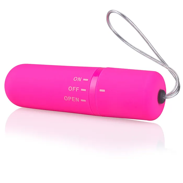 Screaming O Remote Control Panty Vibrator Pink Screaming O Female Sex Toys