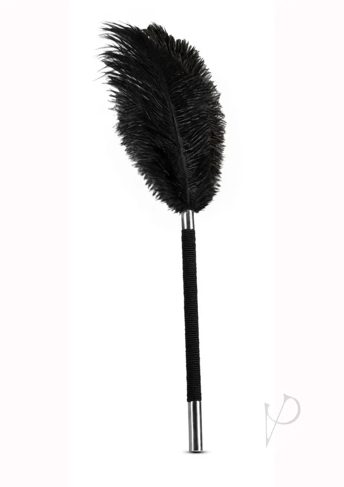 Anal Noir Noir Soft Feather Tickler Blackdisc