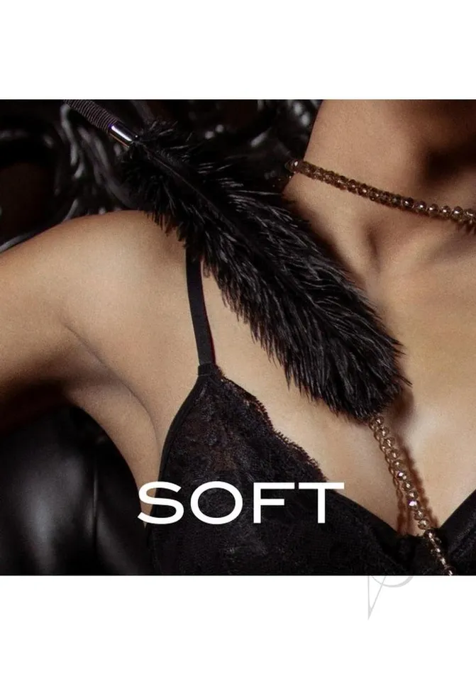 Anal Noir Noir Soft Feather Tickler Blackdisc