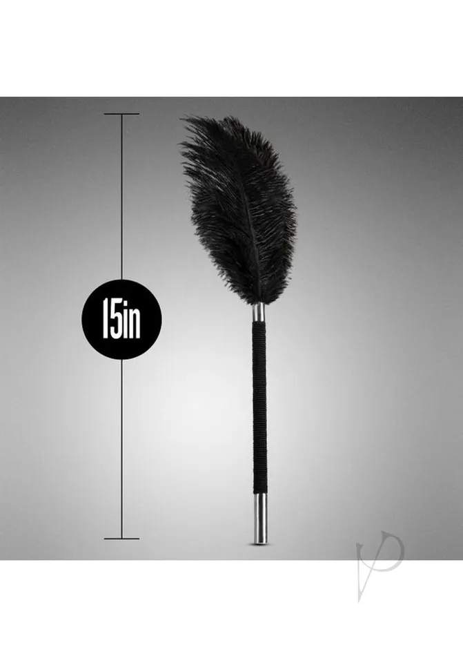 Anal Noir Noir Soft Feather Tickler Blackdisc