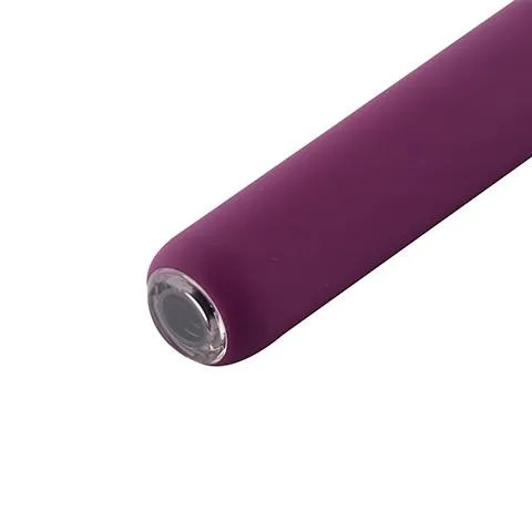 Female Sex Toys Svakom Siime Eye Vibrator with Wireless Camera