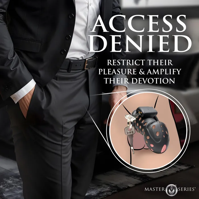 Master Series Male Sex Toys Lock Down Chastity Cage